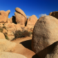 Joshua Tree National Park