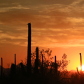 Saguaro National Park