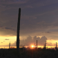 Saguaro National Park