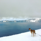 Crater Lake National Park