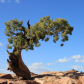 Canyonlands National Park