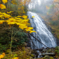 Blue Ridge Parkway