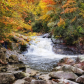 Nantahala National Forest