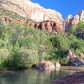 Zion National Park