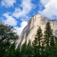 Yosemite National Park