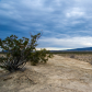 Big Bend National Park