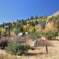 Humboldt-Toiyabe National Forest