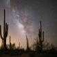 Saguaro National Park