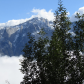 Sequoia National Park