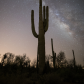 Saguaro National Park