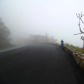 Shenandoah National Park