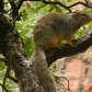 Zion National Park