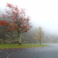 Shenandoah National Park