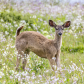 Point Reyes National Seashore