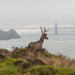 Golden Gate National Recreation Area