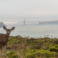 Golden Gate National Recreation Area