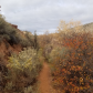 Capitol Reef National Park