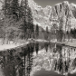 Yosemite National Park