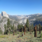 Yosemite National Park
