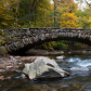 Rock Creek Park