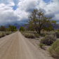 Manzanar National Historic Site