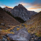 Uncompahgre National Forest