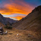 Uncompahgre National Forest
