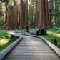 Sequoia National Park