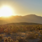 Joshua Tree National Park