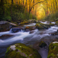 Great Smoky Mountains National Park