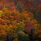 Great Smoky Mountains National Park