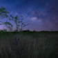 Everglades National Park