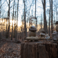 Rock Creek Park
