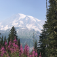 Mount Rainier National Park