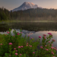 Mount Rainier National Park