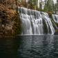 Shasta-Trinity National Forest