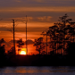 Blackwater National Wildlife Refuge