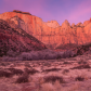 Zion National Park
