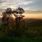 Shenandoah National Park