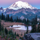 Mount Rainier National Park