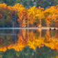 Ouachita National Forest
