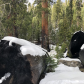 Yosemite National Park